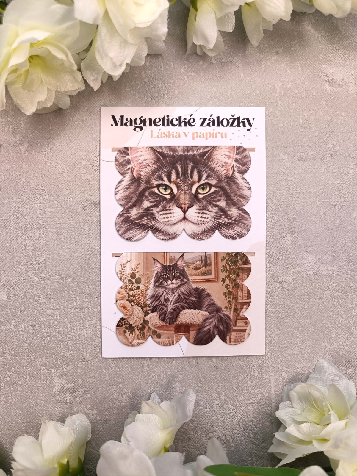 Magnetické záložky do knih s mainskou mývalí kočkou