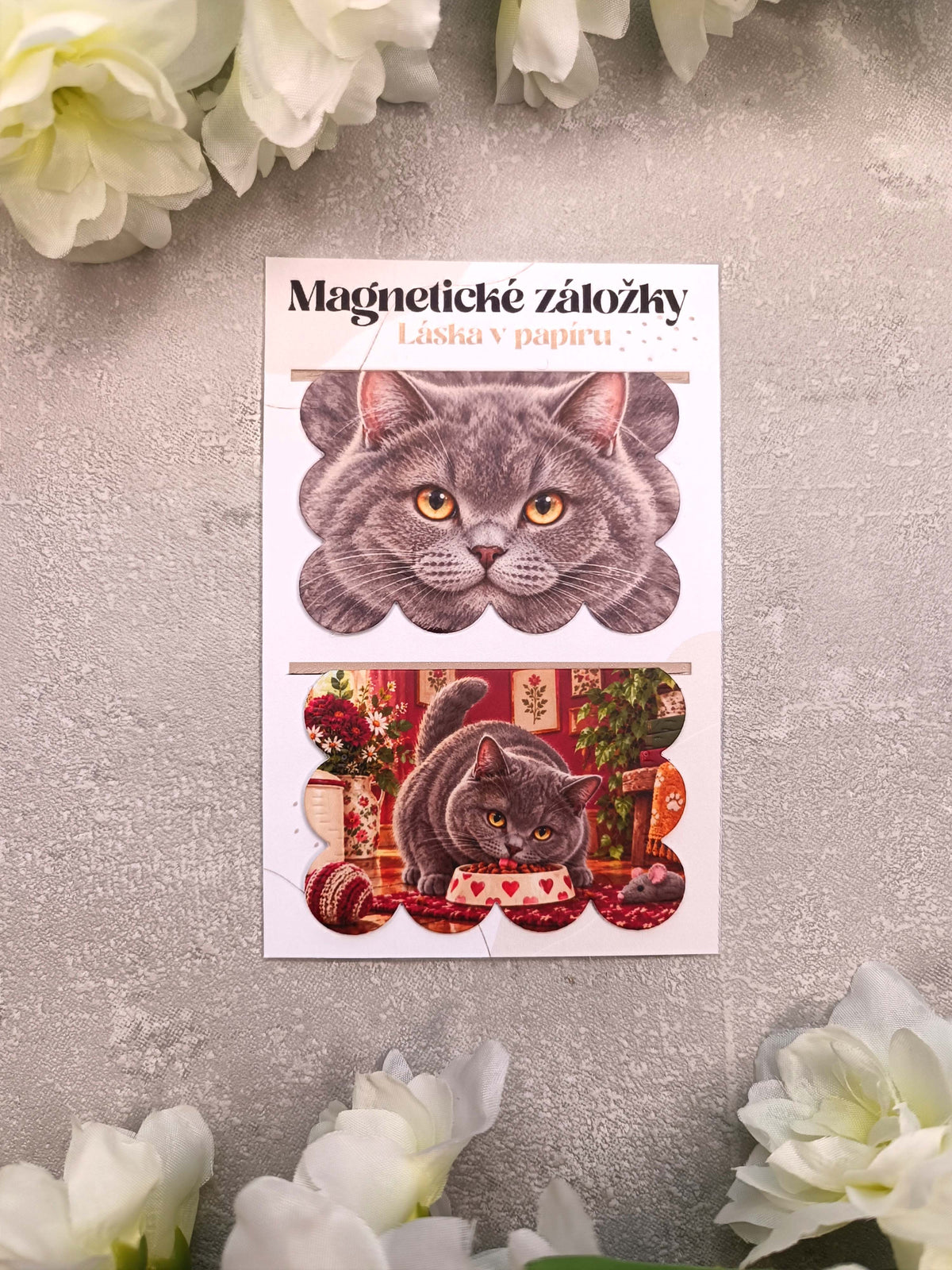 Magnetické záložky do knih s britskou krátkosrstou kočkou