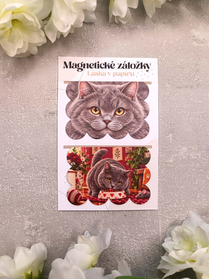 Magnetické záložky do knih s britskou krátkosrstou kočkou