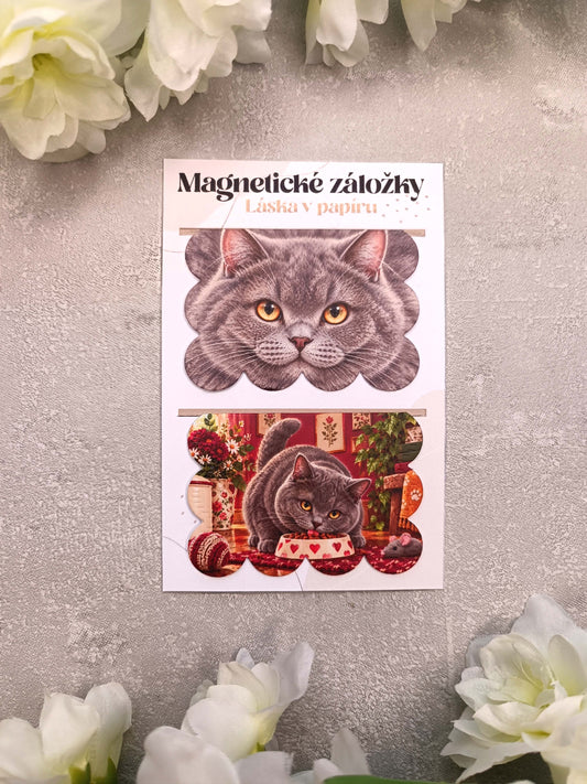 Magnetické záložky do knih s britskou krátkosrstou kočkou