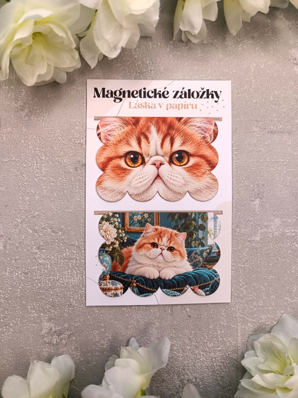 Magnetické záložky do knih s exotickou krátkosrstou kočkou