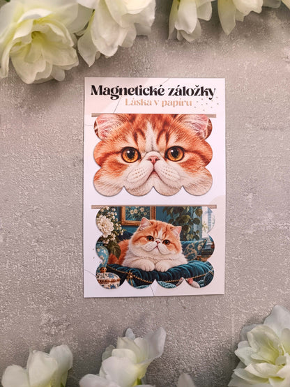 Magnetické záložky do knih s exotickou krátkosrstou kočkou