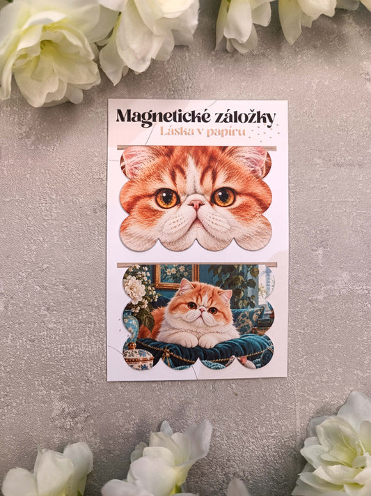 Magnetické záložky do knih s exotickou krátkosrstou kočkou