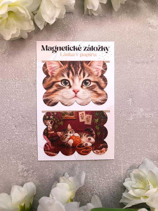 Magnetické záložky do knih s mourovatou kočkou