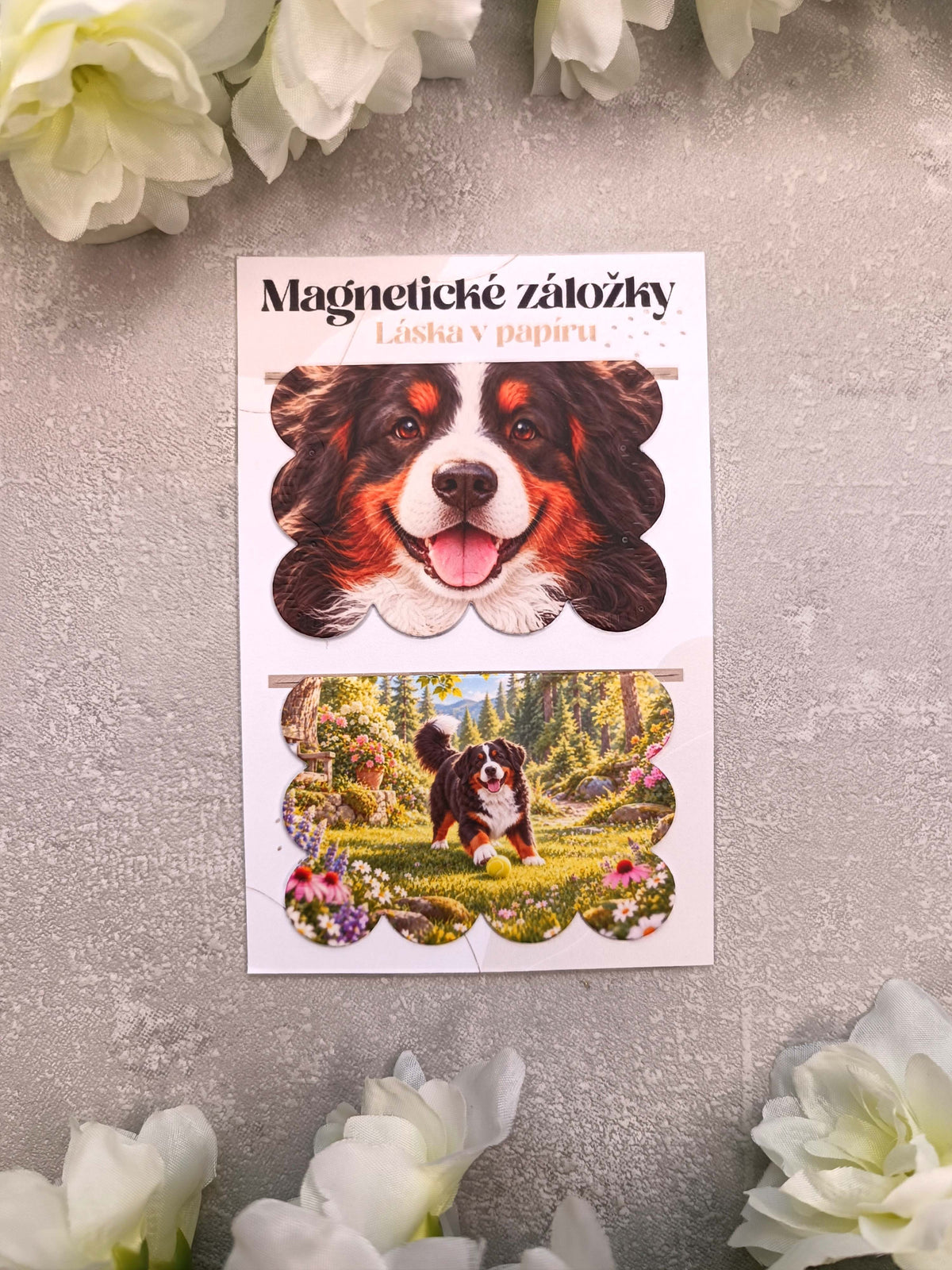 Magnetické záložky do knih s bernským salašnickým psem
