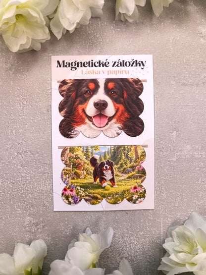 Magnetické záložky do knih s bernským salašnickým psem