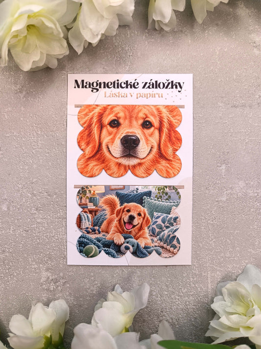 Magnetické záložky do knih se zlatým retrívrem