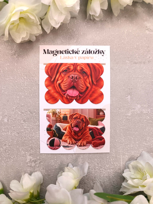 Magnetické záložky do knih s bordeaux dogou