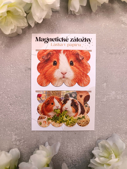 Magnetické záložky do knih s morčetem