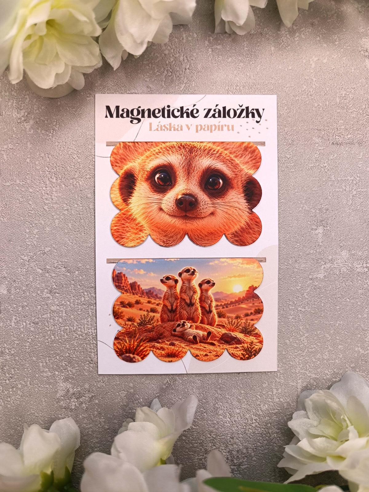 Magnetické záložky do knih se surikatou